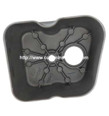 COVER,VALVE 3928405